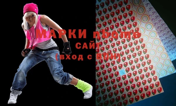 бошки Белокуриха