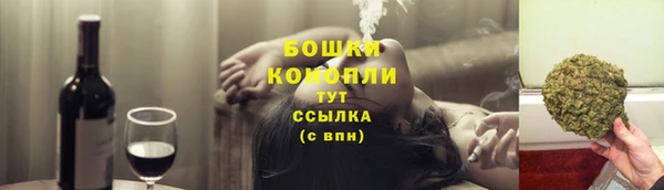 бошки Белокуриха