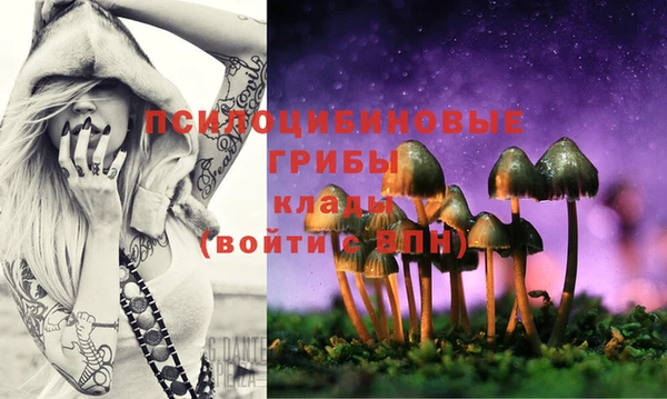марки lsd Балабаново