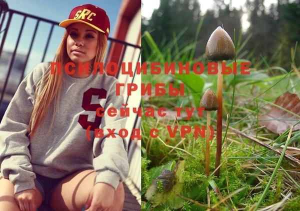 хмурый Белоозёрский
